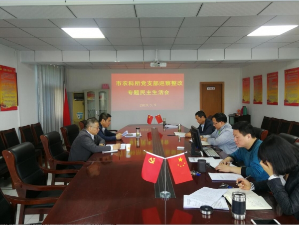 巡察整改专题民主生活会