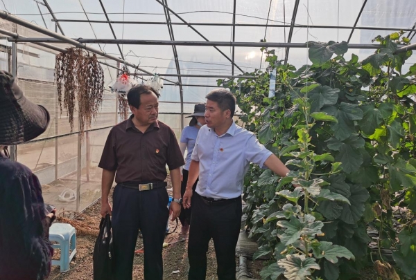 截图录屏_选择区域_20220622172532