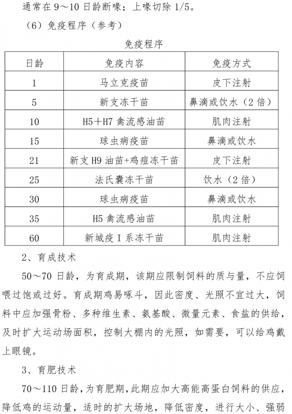 淮南市麻黄鸡商品公鸡放养技术-4