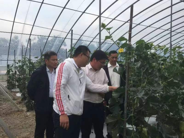 微信图片_20230512085617