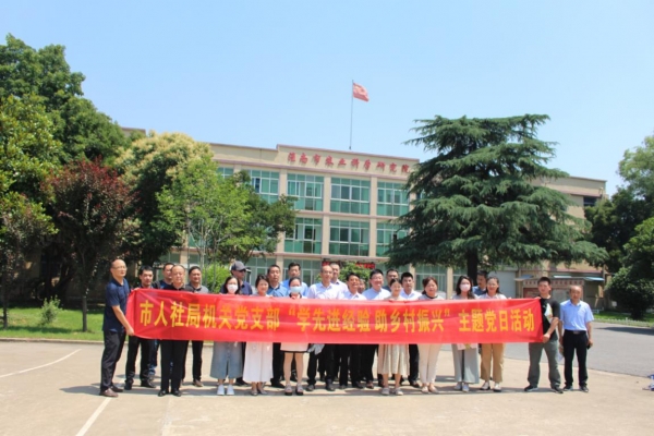 图片4