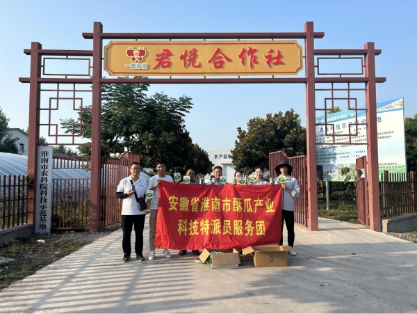 图片8