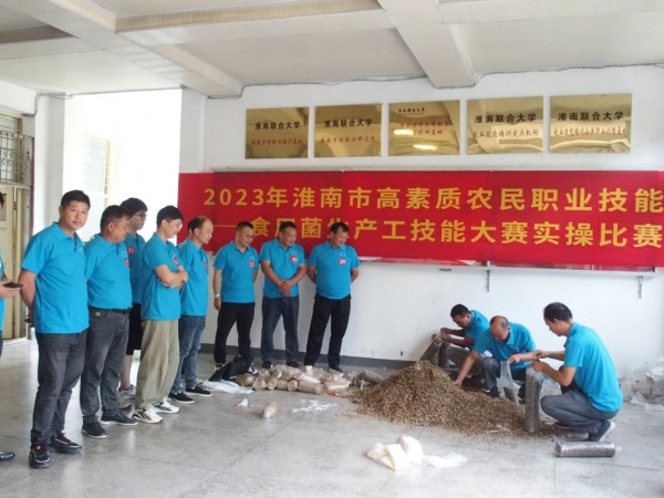 图片15