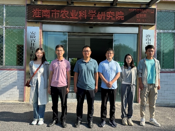 图片17