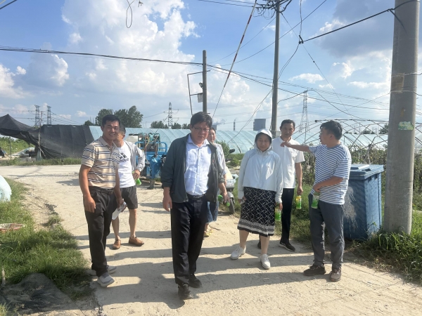 省农科院专家团队赴潘集区平圩镇李桥村开展科技成果转化项目前期调研1