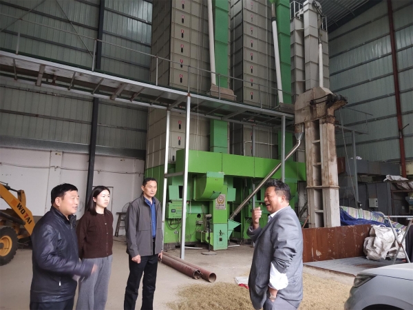 淮南市农科院织密科技服务网-“四棵菜”绿色生产技术培训与水稻秋收秋种同步推进2