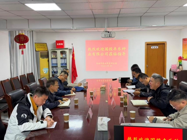 国投丰乐种业有限公司总经理王浩波一行赴市农科院就“十五五”联合攻关进行座谈