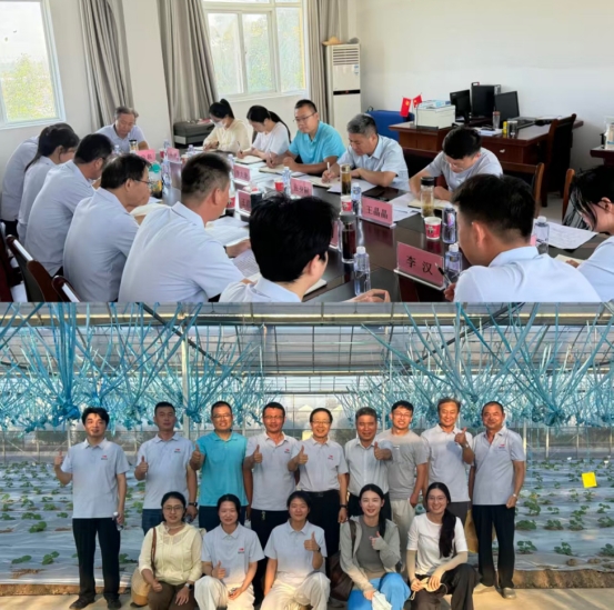 深化院企合作 共推薄皮甜瓜产业升级——淮南市农科院与国投丰乐种业开展联合育种交流